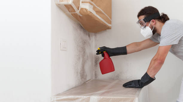 Professional Commercial Mold Remediation technician working in Hillsboro, IL