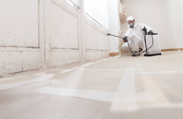 24/7 Emergency Commercial Mold Remediation experts in Hillsboro, IL