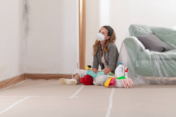 Reliable Commercial Mold Remediation contractor in Hillsboro, IL by 24 Hour Mold Removal